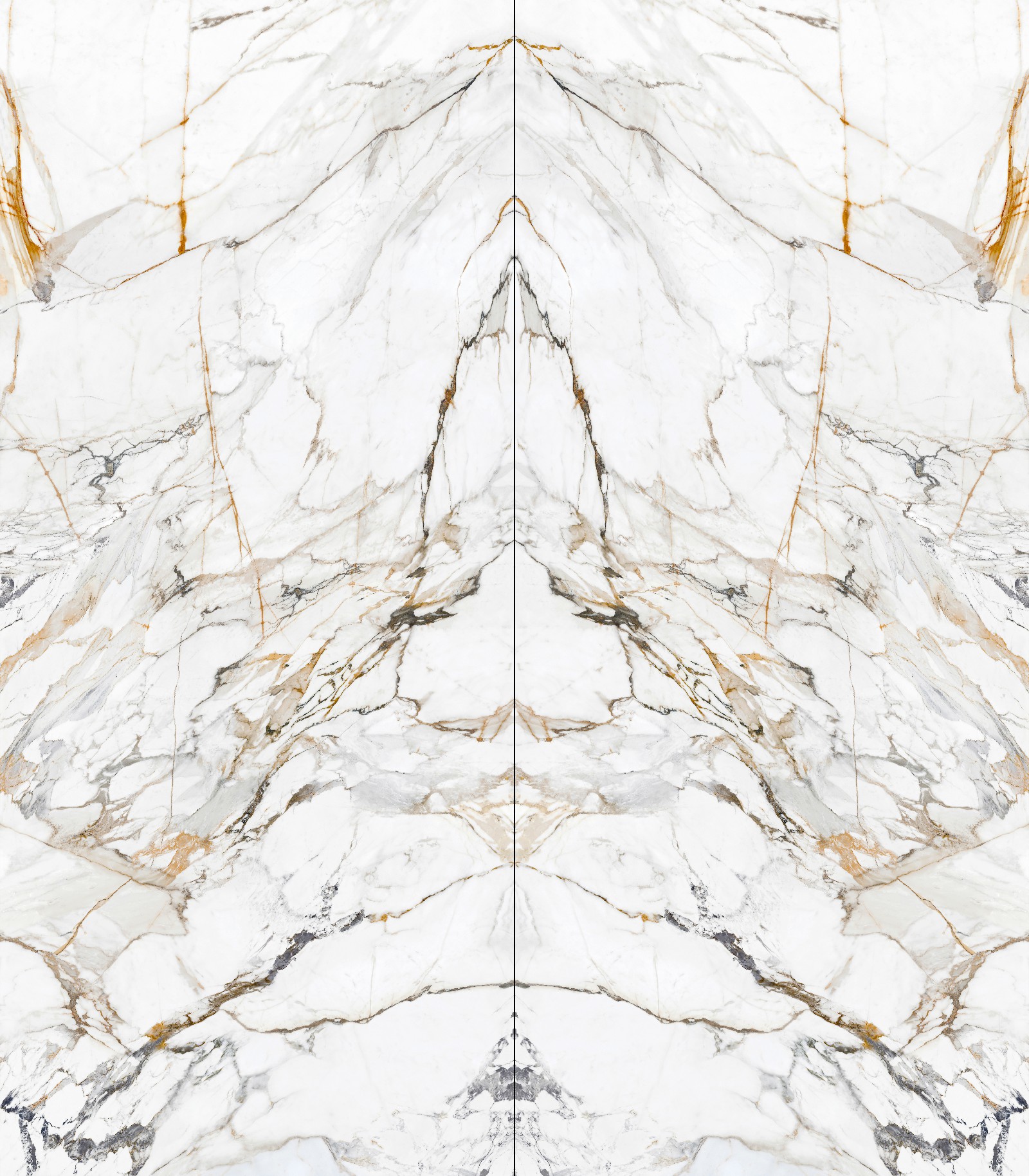 12Y1432516A-1-2_鎏金歲月-2面鏡像對紋