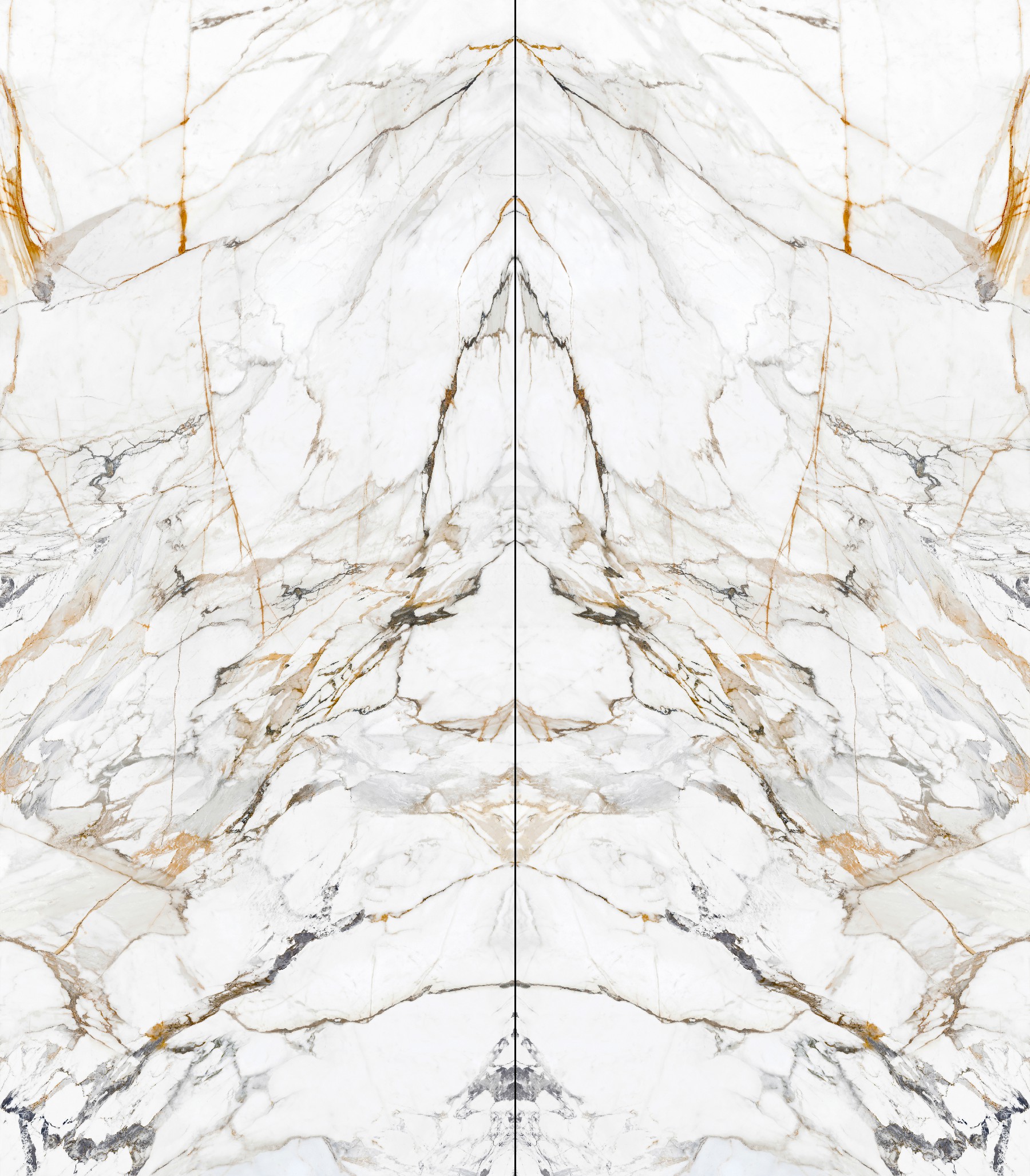 12S1432316A-1-2_鎏金歲月-2面鏡像對(duì)紋