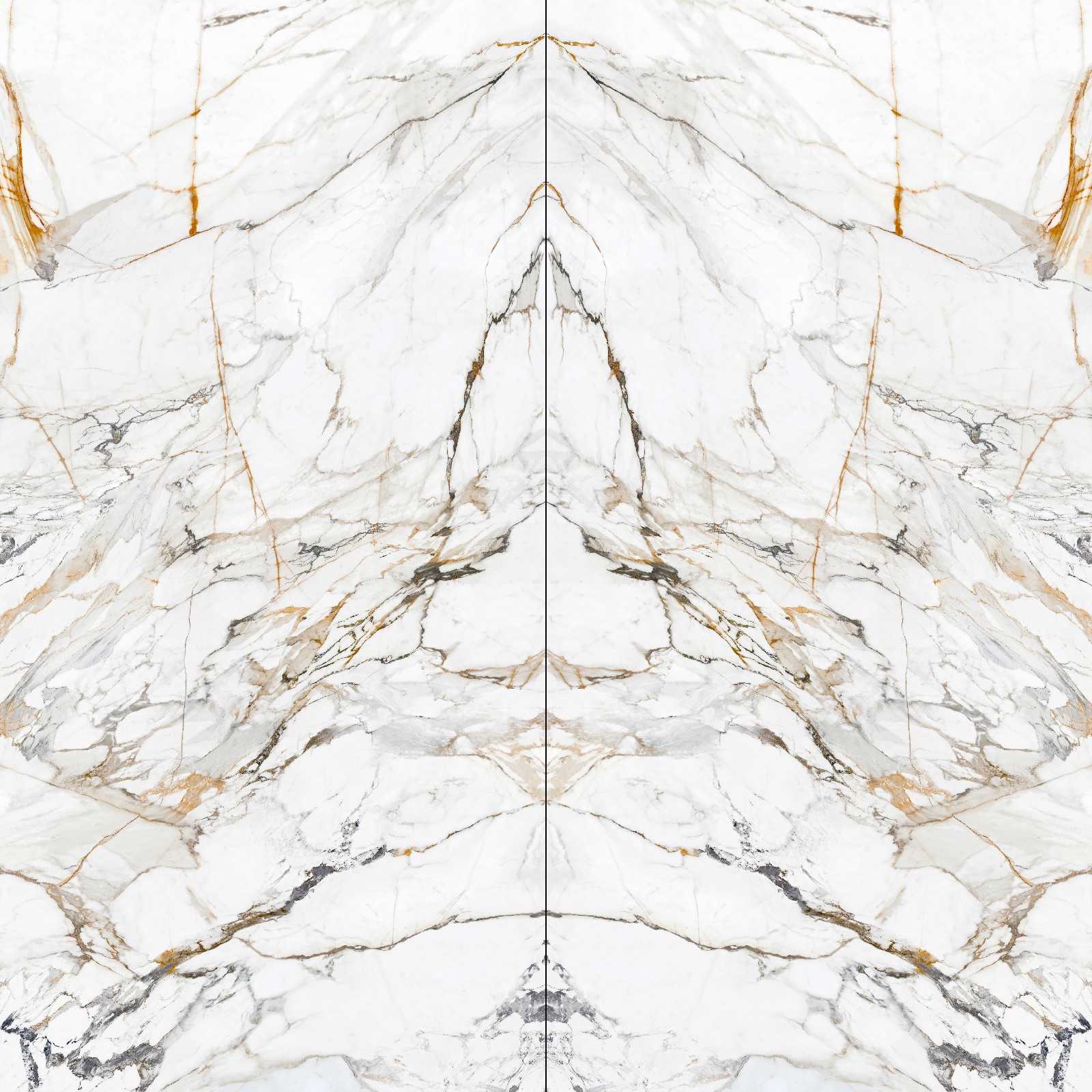 12Y1632521A-1-2_鎏金歲月-2面鏡像對紋