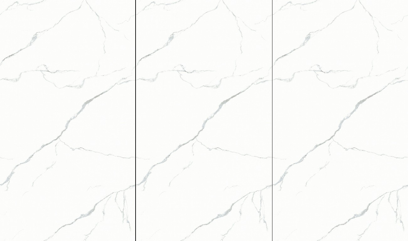 12Y1832102A-細(xì)花白-1面上下左右無限連紋_拷貝