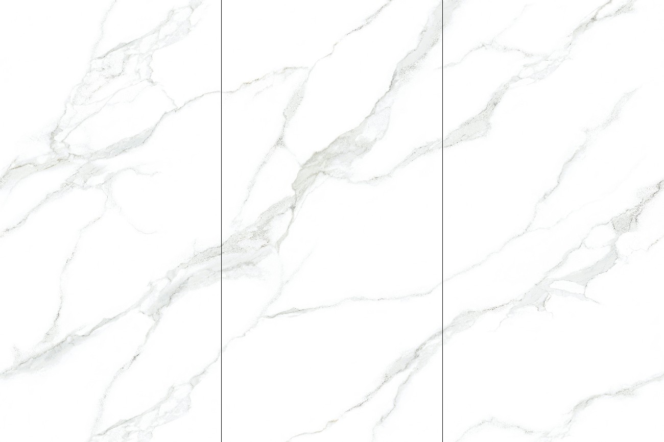 9S1632H202A-1-2-3-皇家魚肚白-3面左右無限連紋